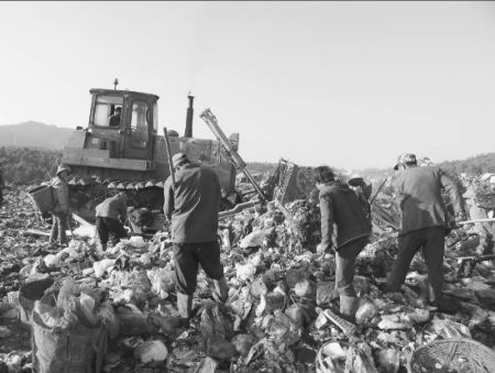 巨大(dà)的(de)垃圾場(chǎng)“寄生(shēng)”了(le)衆多(duō)的(de)拾荒者